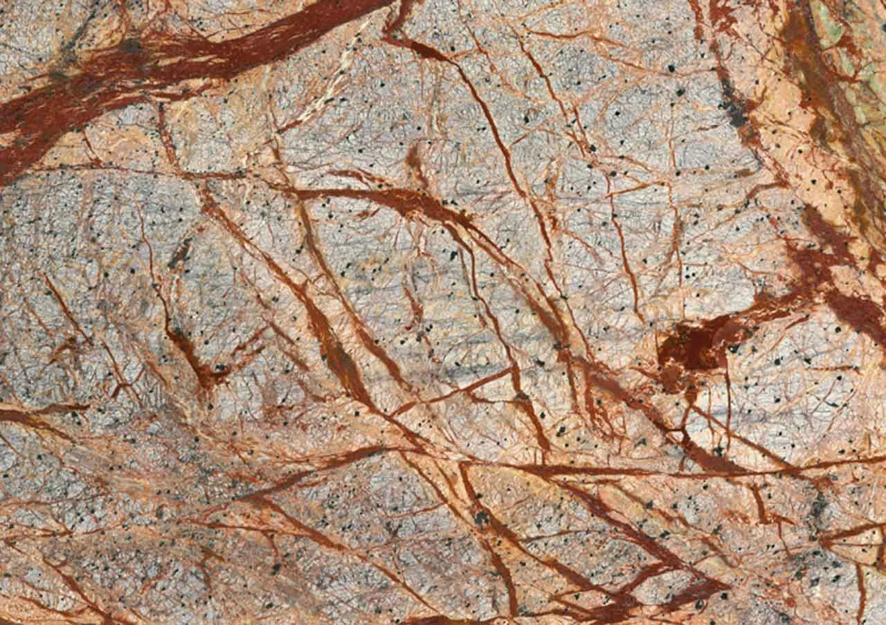 Rain Forest Brown — prirodni kamen iz Indija