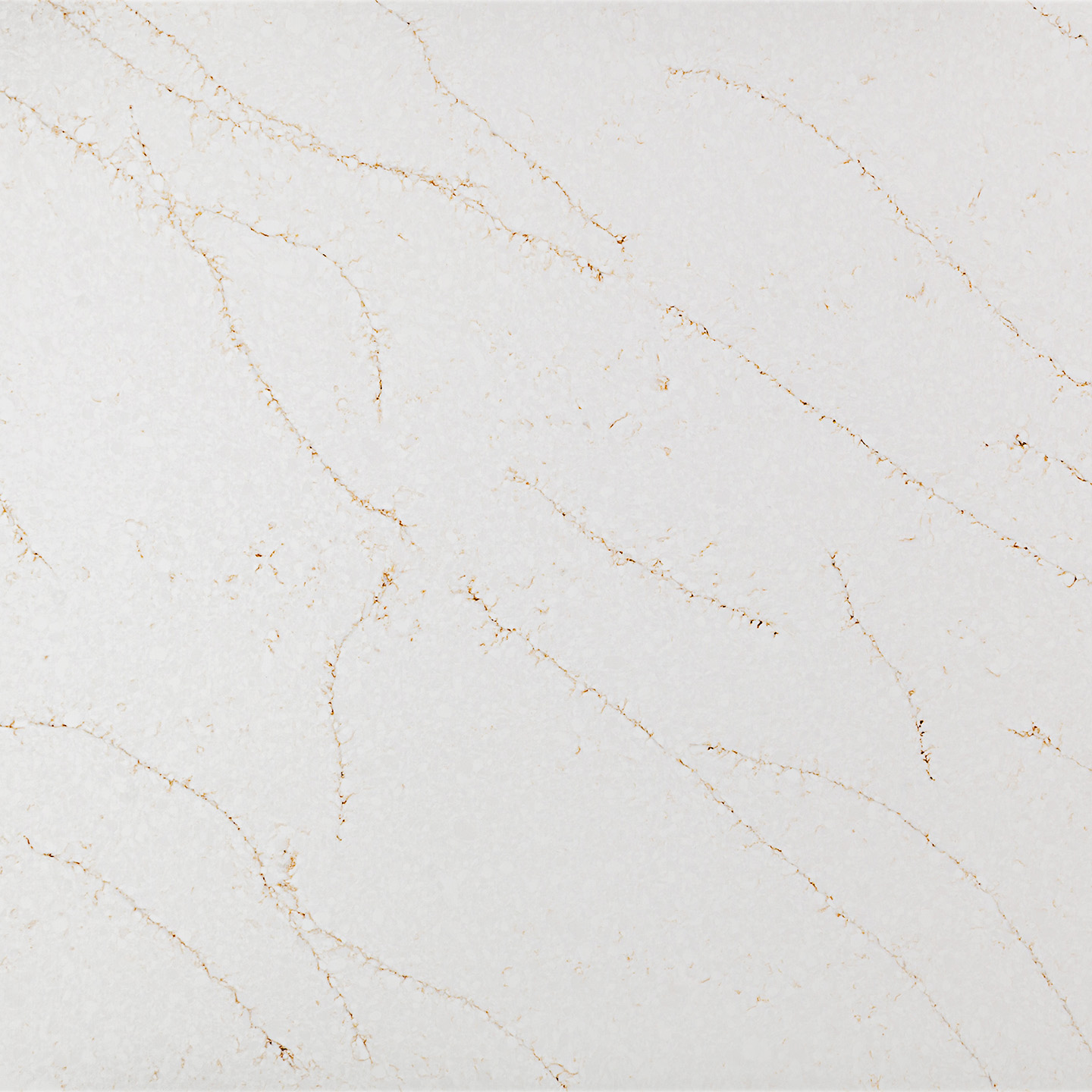 Calacatta Aurora Gold — Coante kvarc