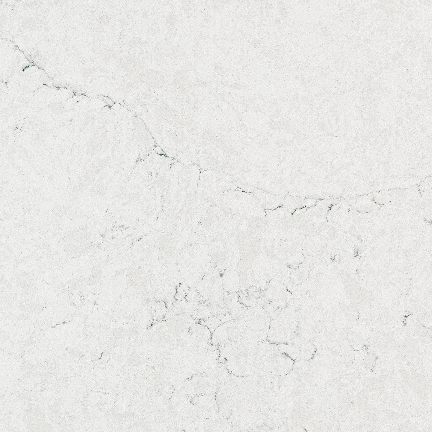 Calacatta Edera — Coante kvarc