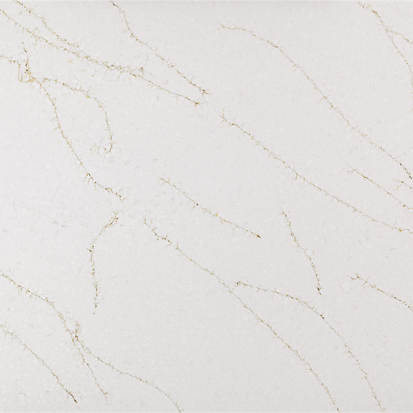 Calacatta Ivy Green — Coante kvarc