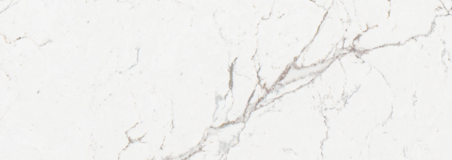 Calacatta Olympos — detalj materijala izbliza