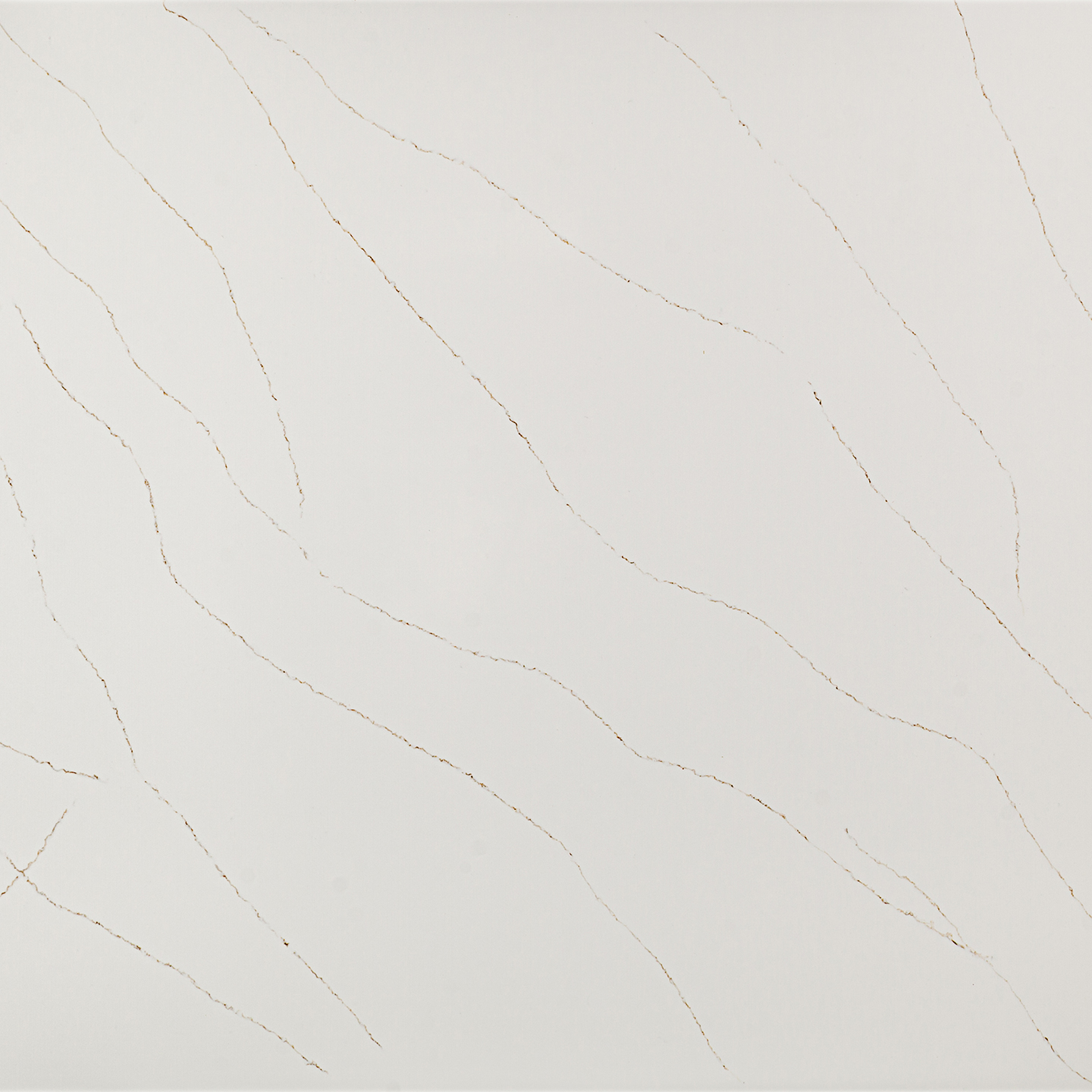 Calacatta Solara Gold — Coante kvarc