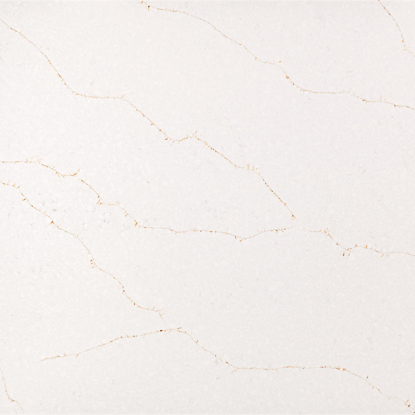 Calacatta Vivaldi Gold — Coante kvarc