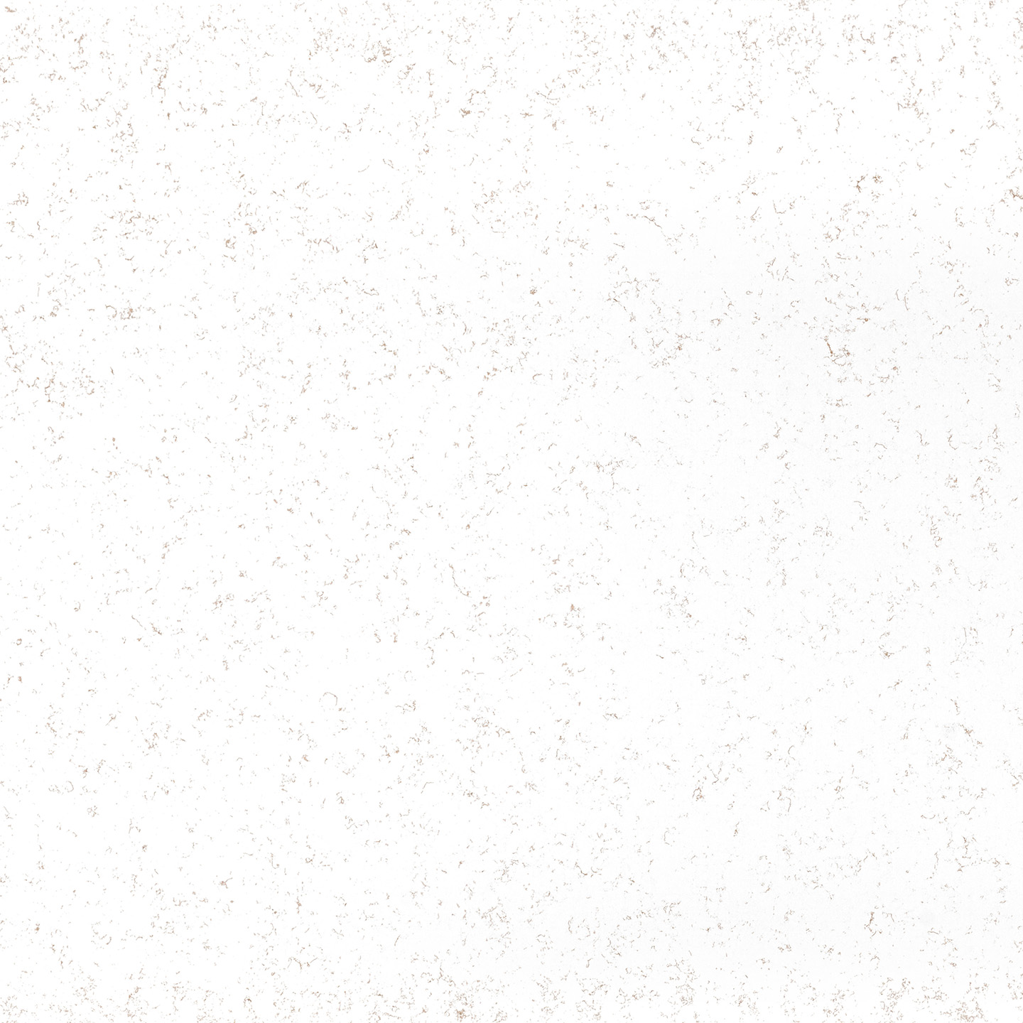 Carrara Oro — Coante kvarc