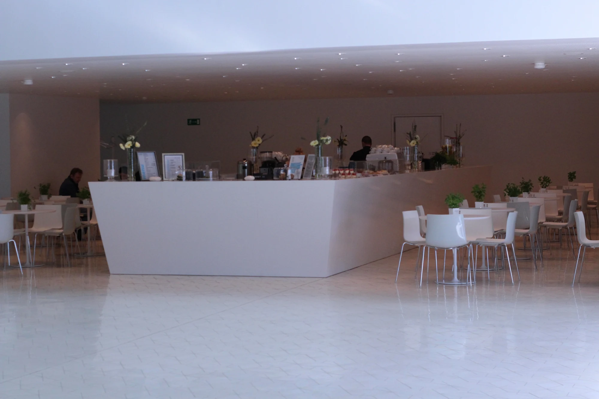 Crystal Absolute White — referenca 15