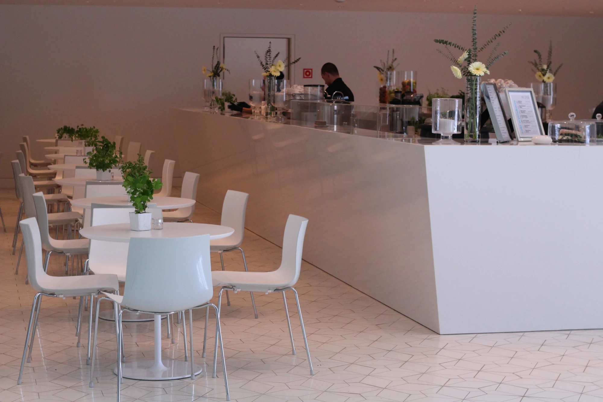 Crystal Absolute White — referenca 17