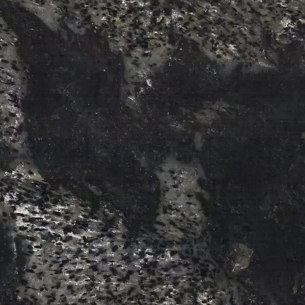 Black And Silver — Granit iz Brazila