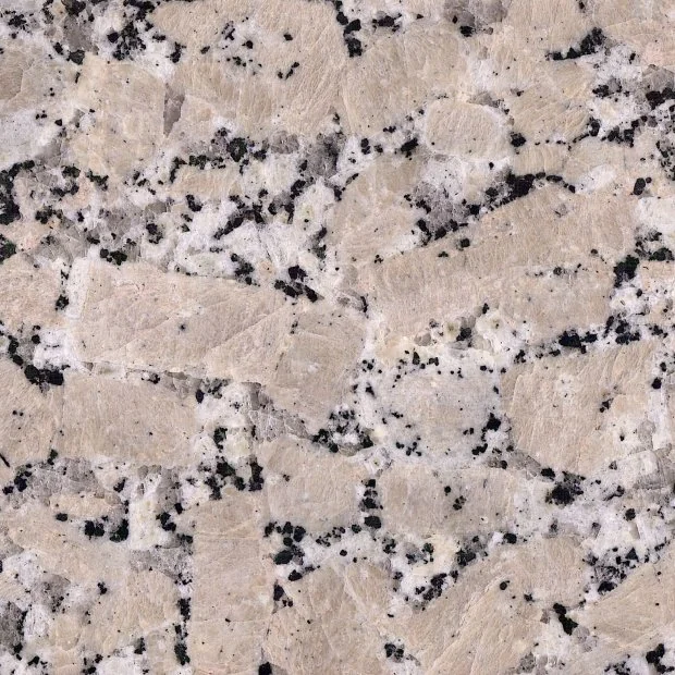 Rosa Patrizia — Granit iz Brazila