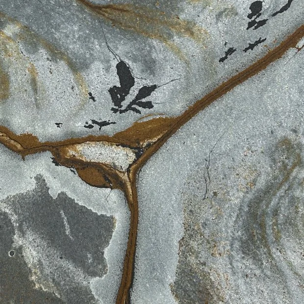 Brasilian Fossil — Kvarcit iz Brazila