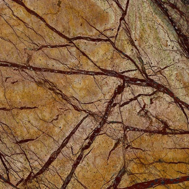 Rain Forest Gold — Mermer iz Indije