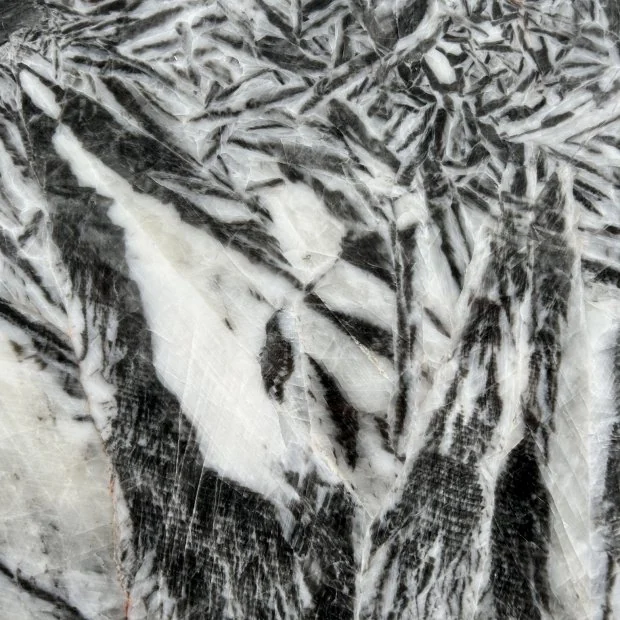 White Palm — Mermer iz Kine