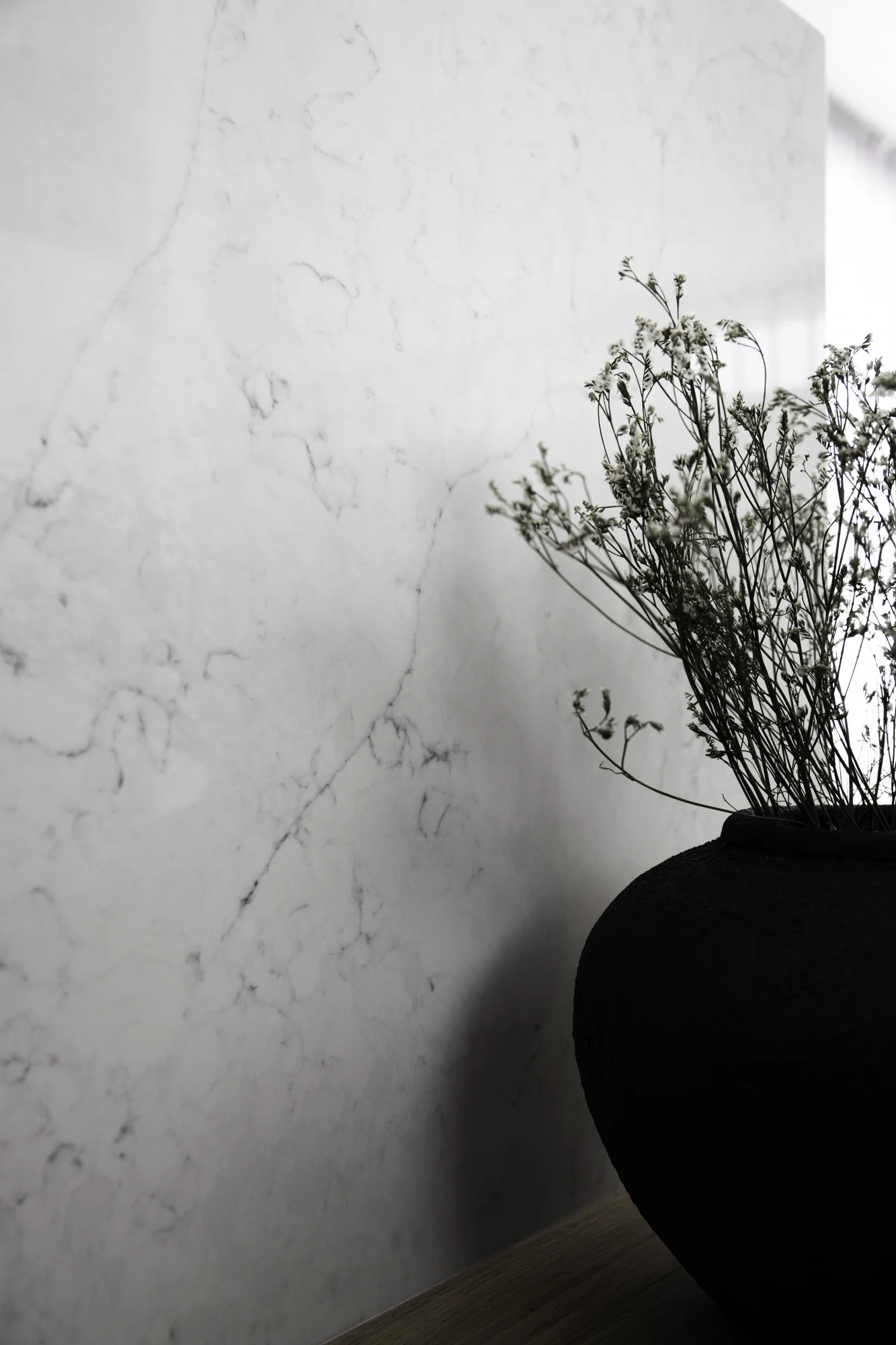 Mystery White — referenca 8