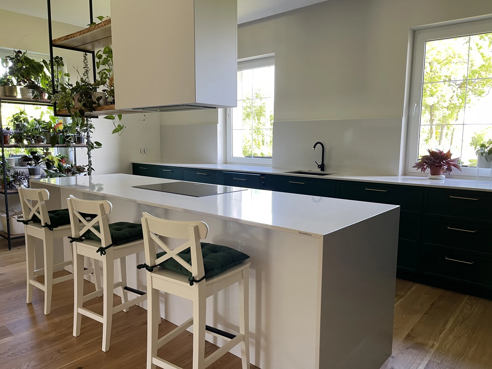 Noble Linea — referenca 6