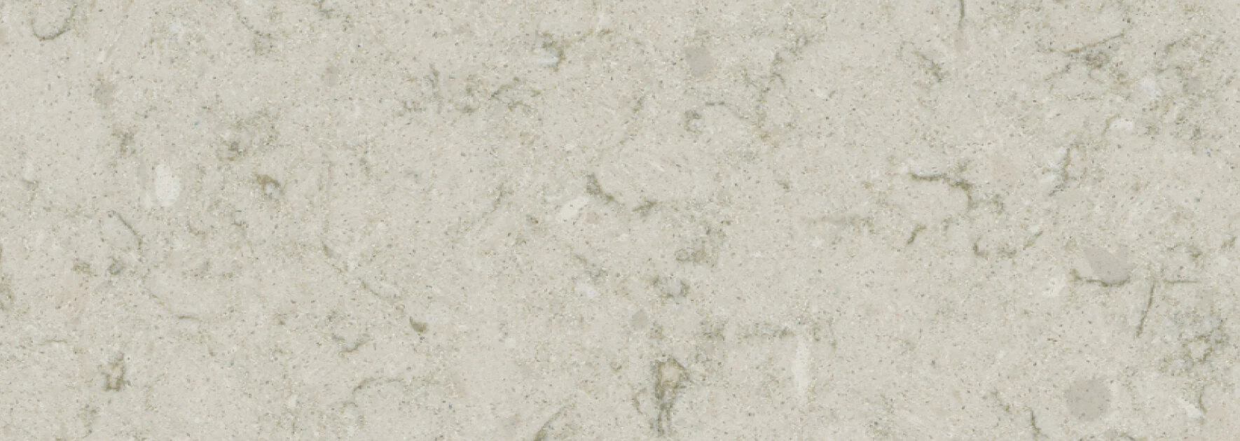 Wild Yucca — detalj materijala izbliza
