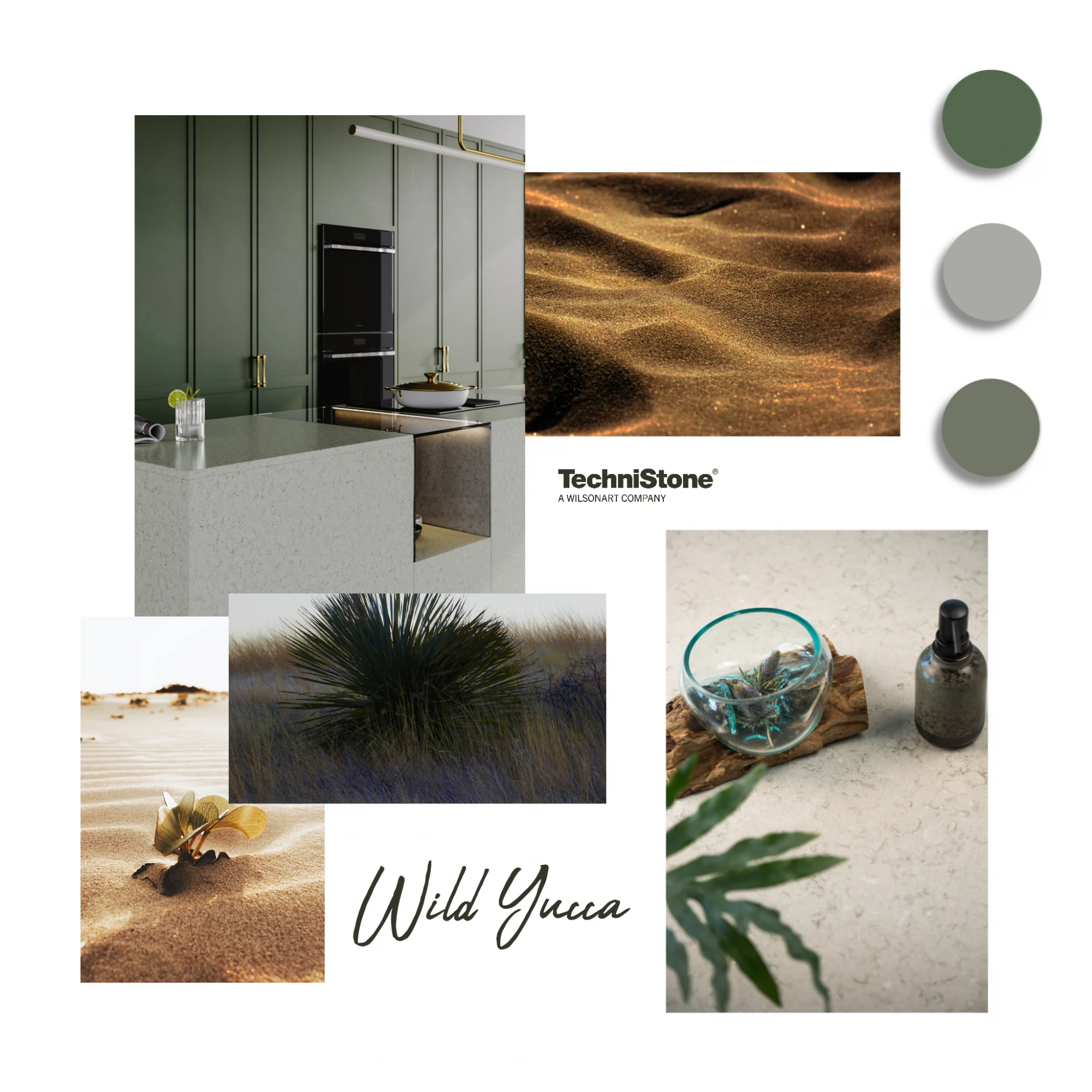 Wild Yucca — referenca 4